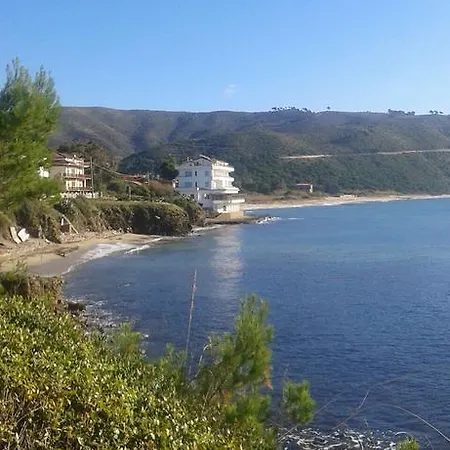 Sirena 3*